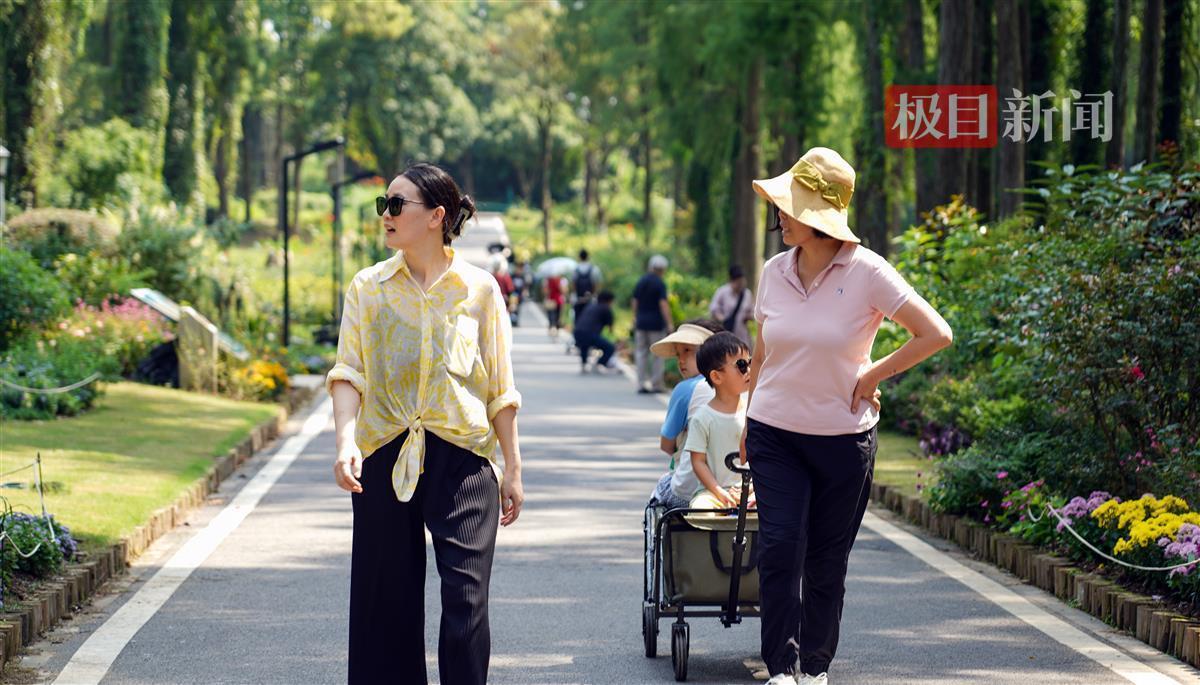 大满贯电子基盘